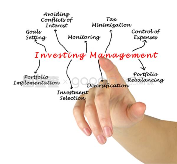 投资管理的核心 项目投资策略与实践