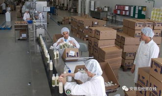 投资1000万美元的化妆品加工厂在安开业，引领本土美妆产业新格局